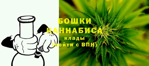гидропоника Рославль
