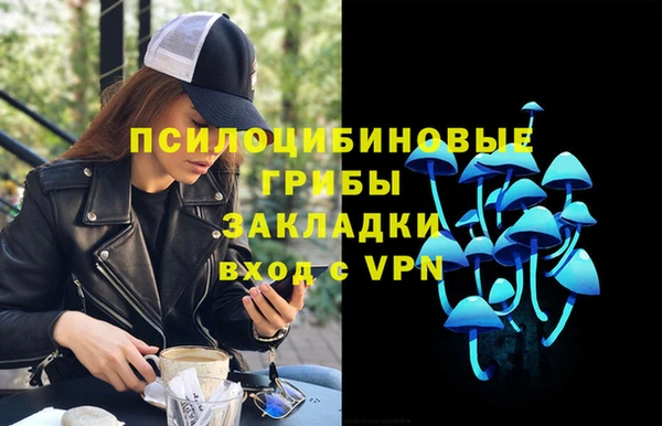 a pvp Абаза
