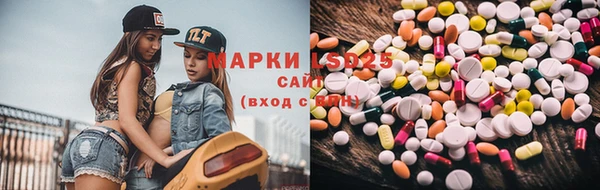 гидропоника Рославль