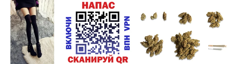 Канабис сатива гидра Бавлы
